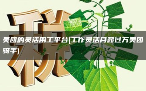 美团的灵活用工平台(工作灵活月薪过万美团骑手)