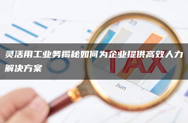 灵活用工业务揭秘如何为企业提供高效人力解决方案