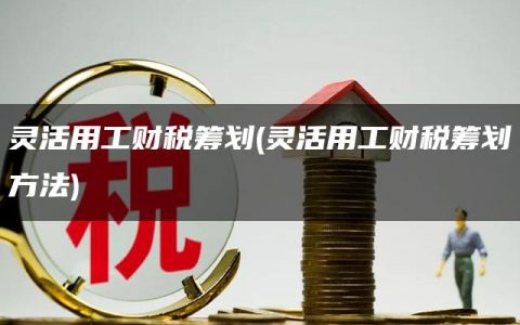 灵活用工财税筹划(灵活用工财税筹划方法)