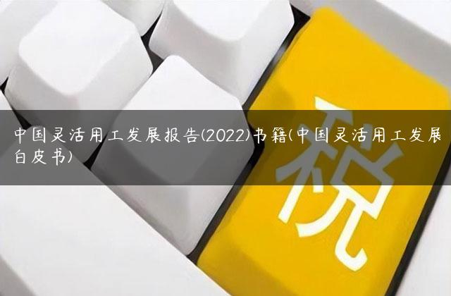 中国灵活用工发展报告(2022)书籍(中国灵活用工发展白皮书)