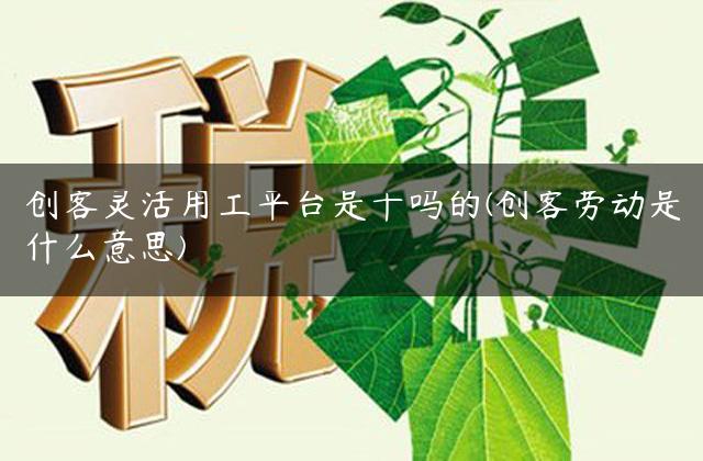 创客灵活用工平台是干吗的(创客劳动是什么意思)