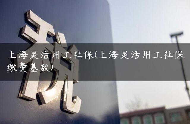 上海灵活用工社保(上海灵活用工社保缴费基数)