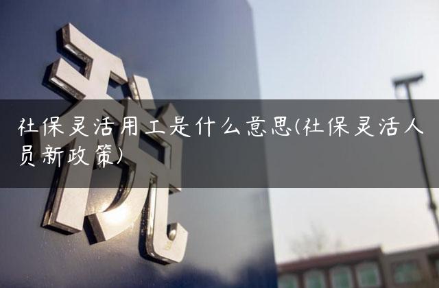 社保灵活用工是什么意思(社保灵活人员新政策)