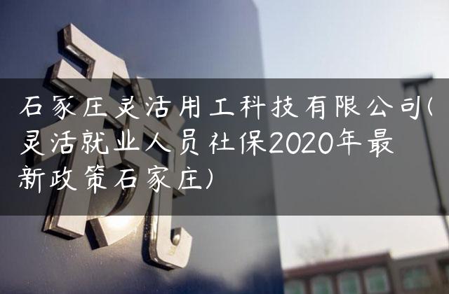 石家庄灵活用工科技有限公司(灵活就业人员社保2020年最新政策石家庄)