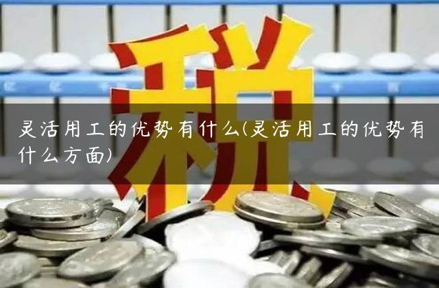 灵活用工的优势有什么(灵活用工的优势有什么方面)