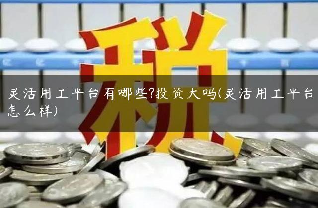 灵活用工平台有哪些?投资大吗(灵活用工平台怎么样)