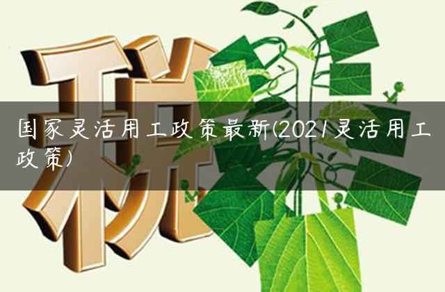 国家灵活用工政策最新(2021灵活用工政策)