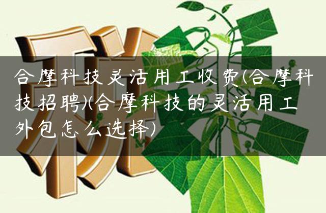 合摩科技灵活用工收费(合摩科技招聘)(合摩科技的灵活用工外包怎么选择)