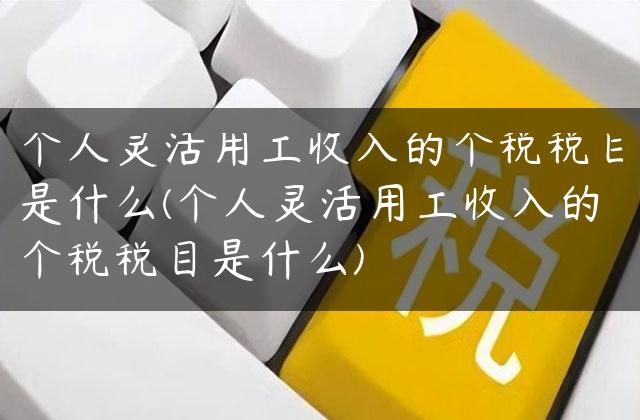 个人灵活用工收入的个税税目是什么(个人灵活用工收入的个税税目是什么)