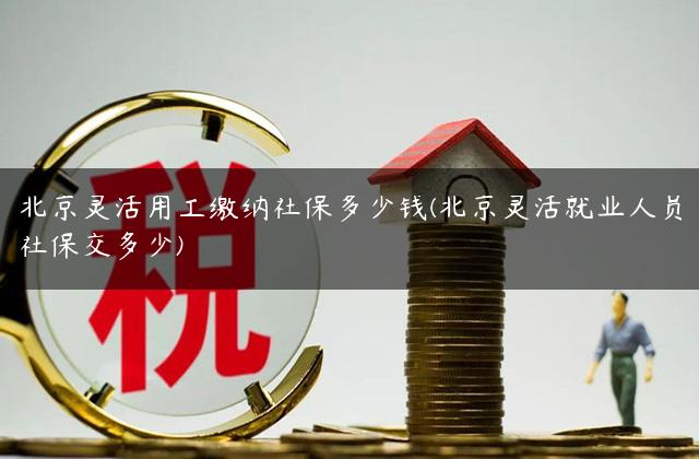 北京灵活用工缴纳社保多少钱(北京灵活就业人员社保交多少)