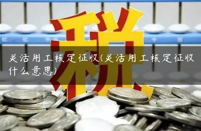 灵活用工核定征收(灵活用工核定征收什么意思)