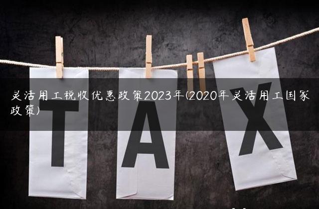 灵活用工税收优惠政策2023年(2020年灵活用工国家政策)